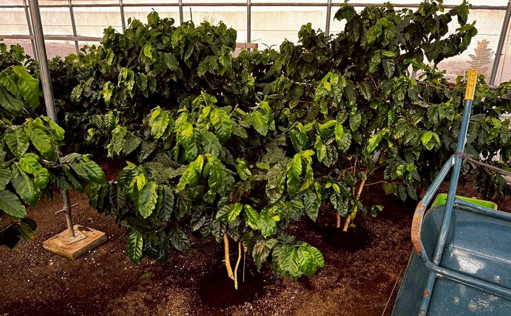 造園作業及び土木作業の受託のイメージ画像です