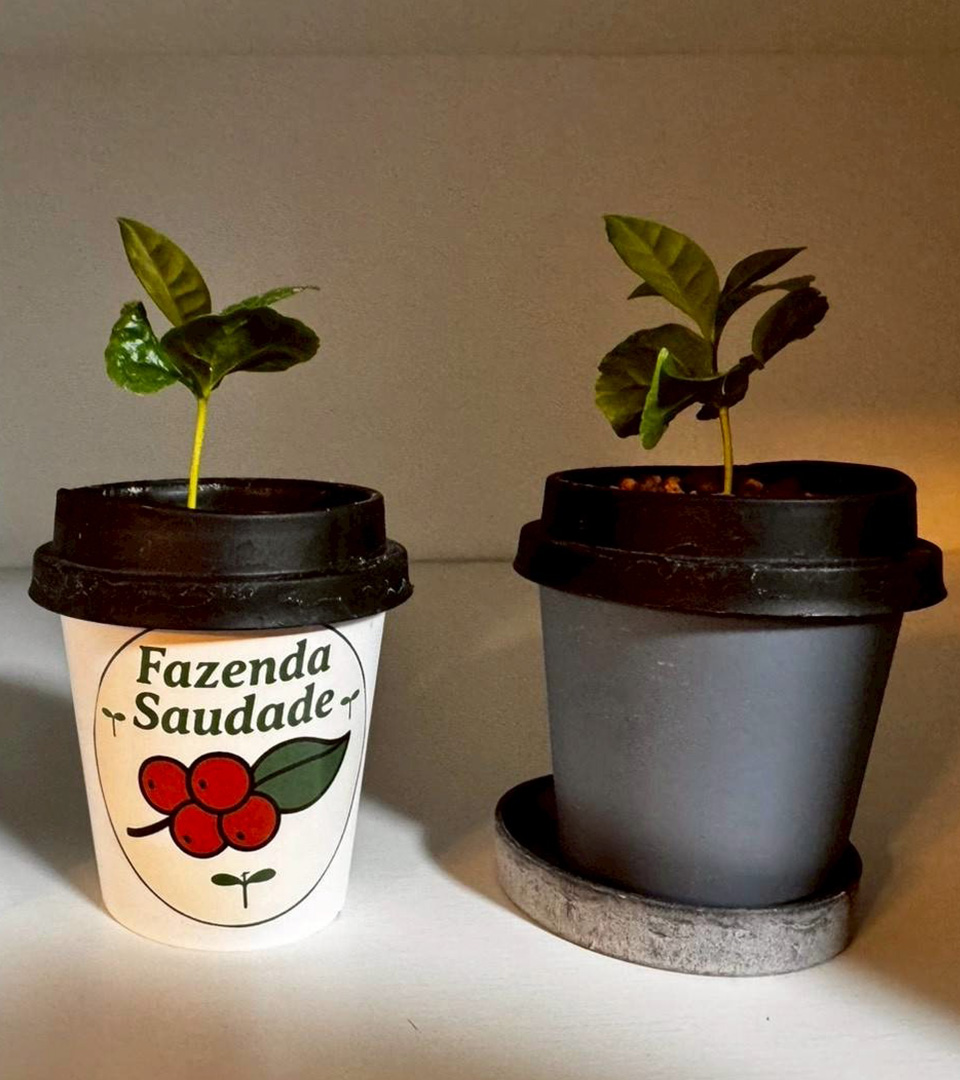 ファゼンダ・サウダージのお問い合わせについてのイメージ画像です