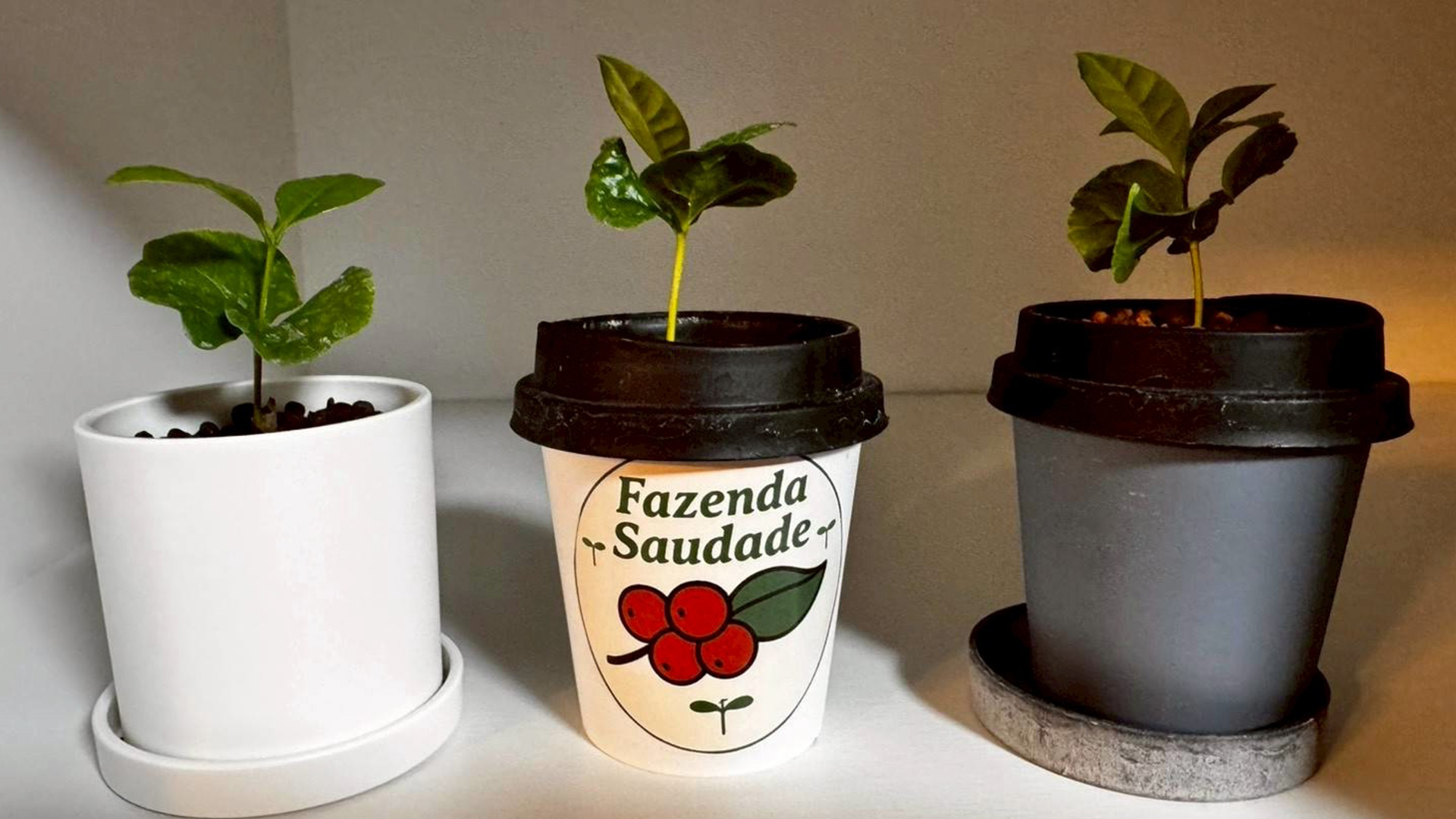 ファゼンダ・サウダージのお問い合わせについてのイメージ画像です